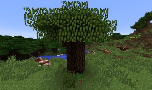 Dark Oak Tree Minecraft: What Is Dark Oak Tree, Its Location, Physical Appearance, And Uses